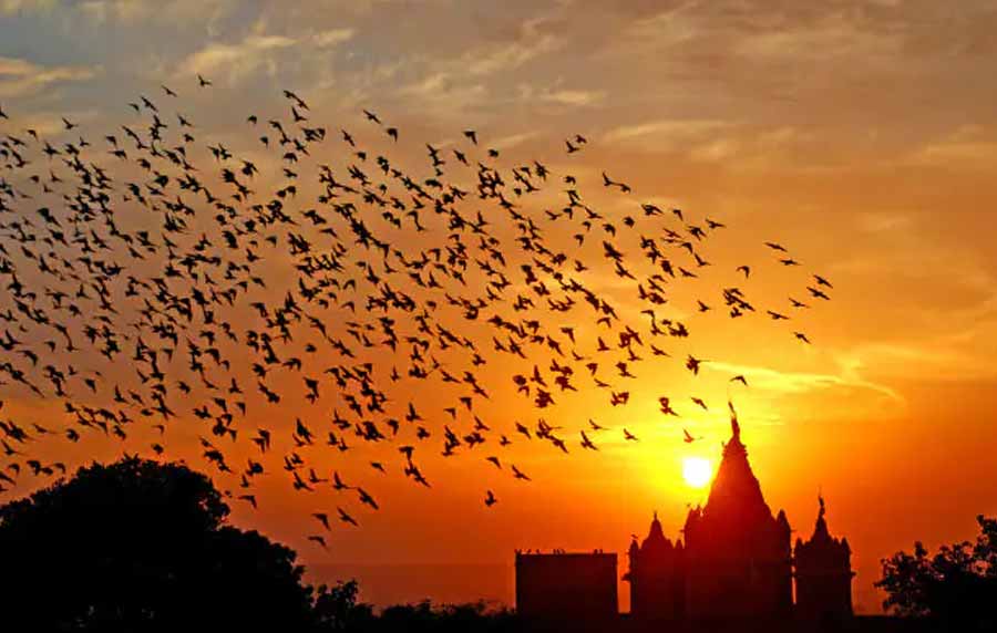 Best Time To Visit Bikaner