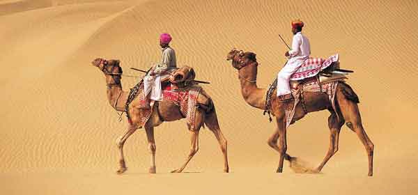 Rajasthan Tour code 13 Jodhpur Jaisalmer Bikaner Tour