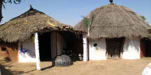 Bishnoi Village Safari