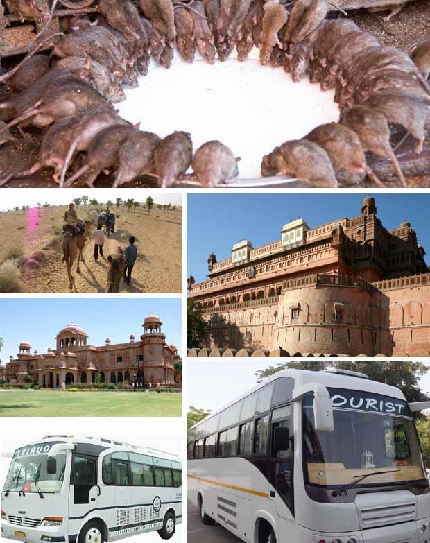 Bus Rental in Bikaner