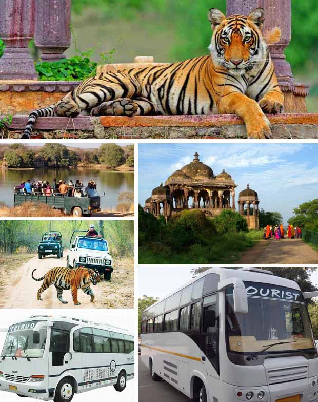 Bus Rental in Ranthambore