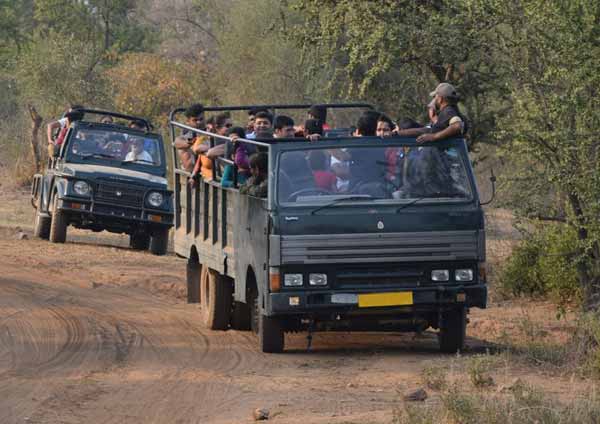 Canter Safari Sariska