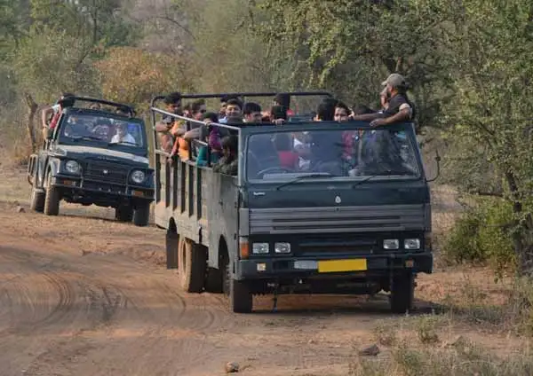 Canter Safari Sariska