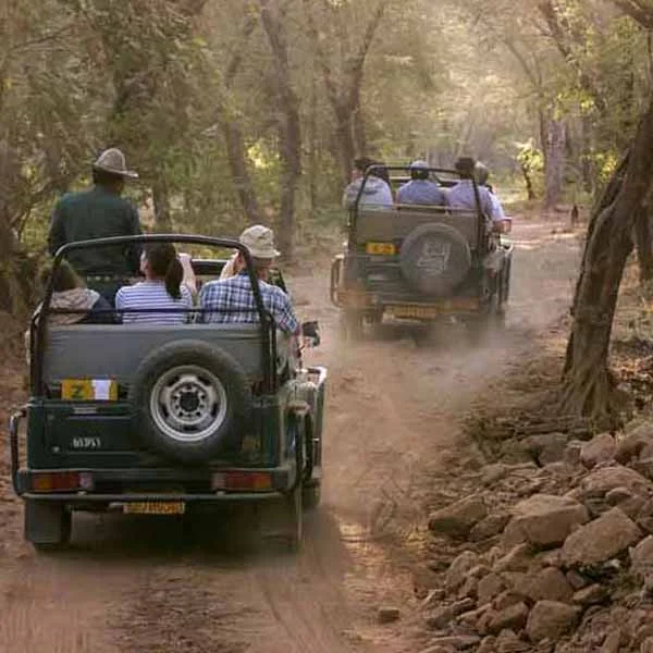 Corbett Jeep Safari Booking