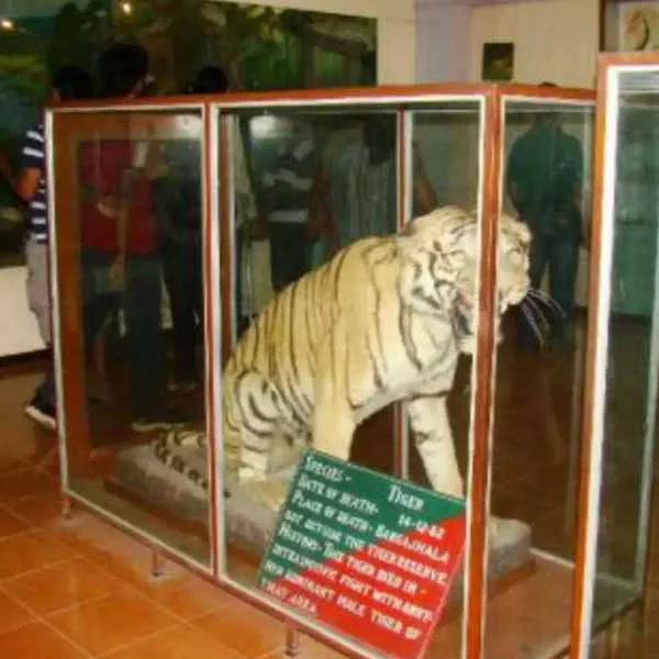 Corbett Museum