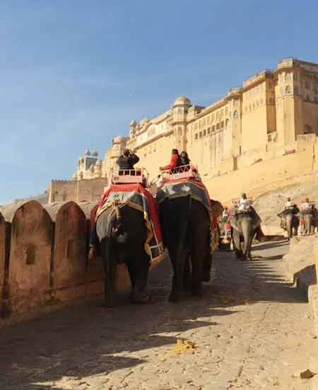 Cosas Que Hacer en India