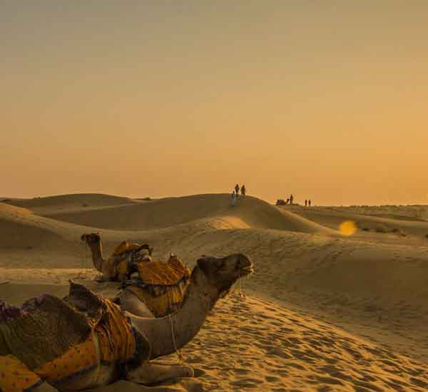 Tour code 14 Delhi Mandawa Bikaner Tour