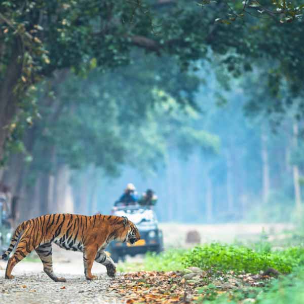 Dhikala Two Night's Tour Package