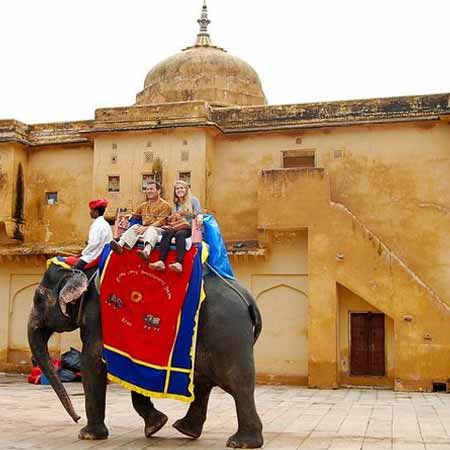 Jaipur Day Excursion with Elephants