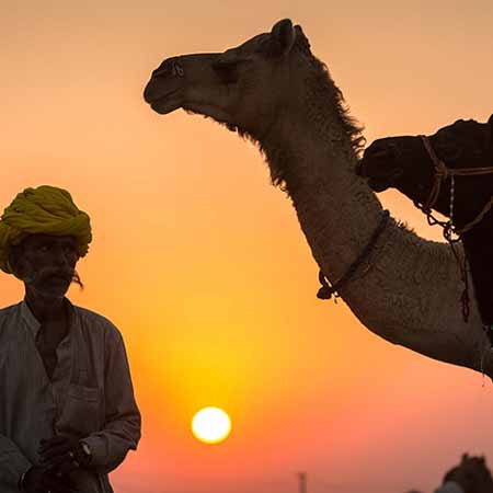 Pushkar Camel Fair