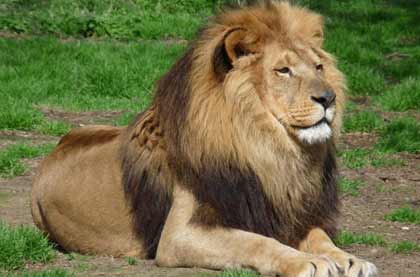 Tour Operators in Gujarat