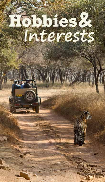 Hobbies & Interests activities in Ranthambore