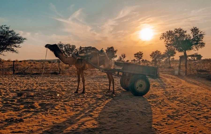 How to Reach Bikaner