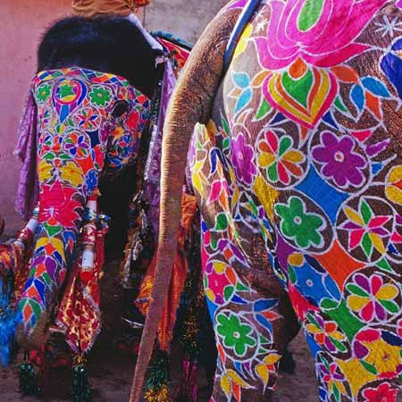 Jaipur elephant painting