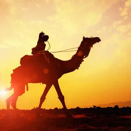 Jaisalmer Navratri Holiday 4 Days Tour