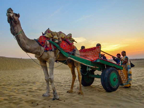 camel safari sam dunes jaisalmer