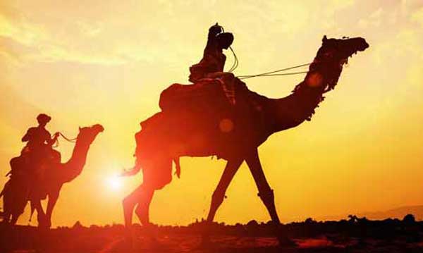 Private Tour : Jaisalmer City Tour and Camel Safari