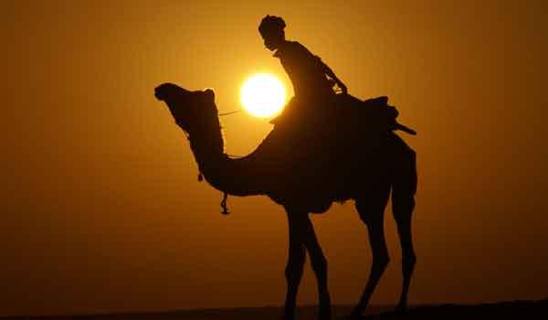 Tour code 6 Delhi Jaipur 8 Nights 9 Days