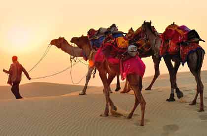 Delhi Group Tour Package