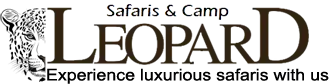 Leopard Safari