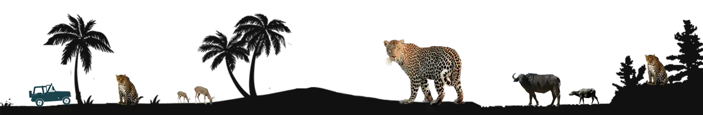 leopard safaris tourism