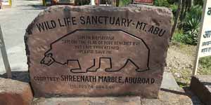 Mount Abu Wildlife Sanctuary