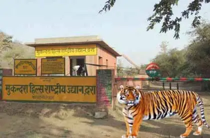 Mukundara Tiger Reserve, Kota