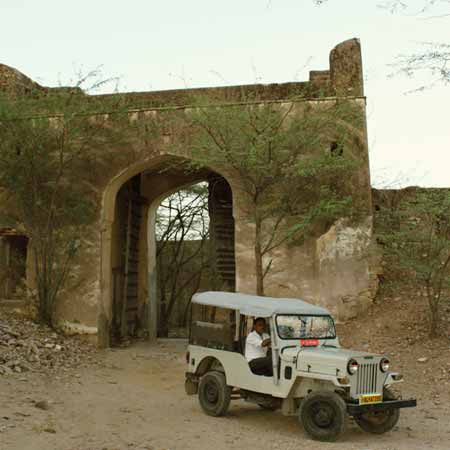 Nahargarh Sanctuary Jeep Safari