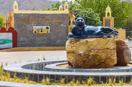 Nahargarh Biological Park Jaipur
