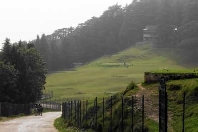 Naldehra And Shaily Peak Shimla