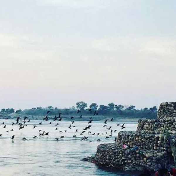 Neel Dhara Pakshi Vihar