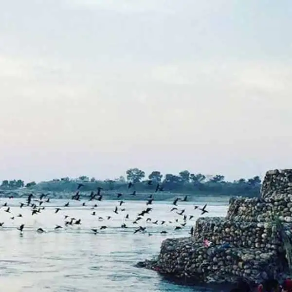 Neel Dhara Pakshi Vihar