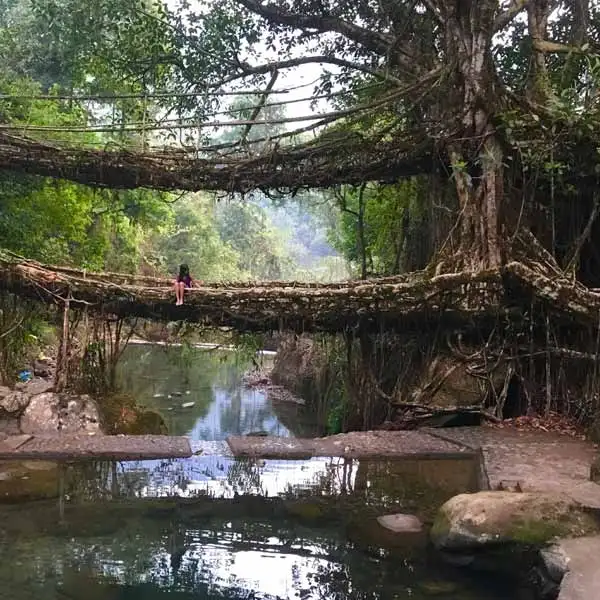 Northeast India