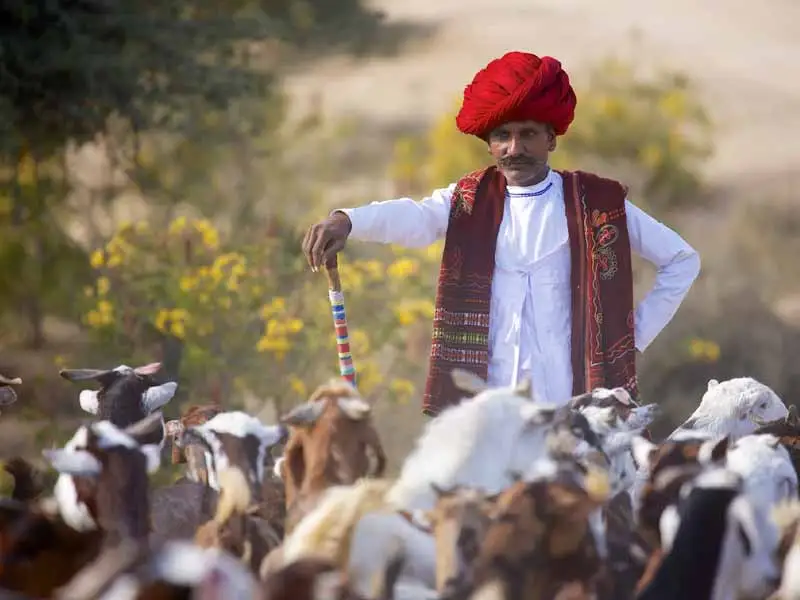 Rajasthan offbeat Tours