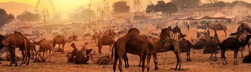 02-05 Days Rajasthan Tours