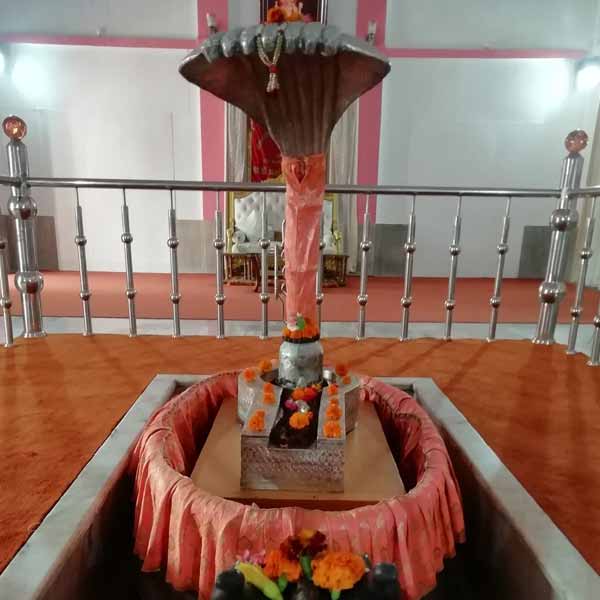 Parad Shivling Haridwar
