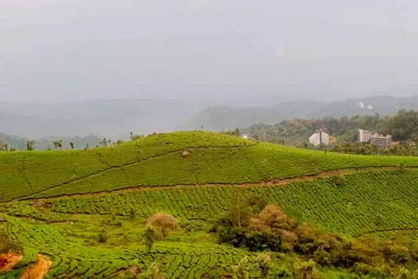 Potheamedu