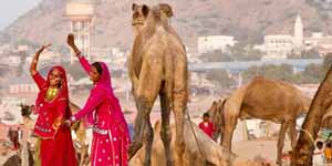 Pushkar Camel Fair