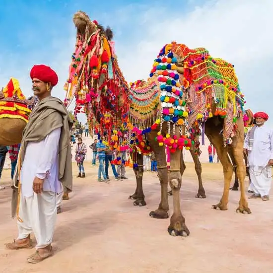Pushkar Fair Tour Package