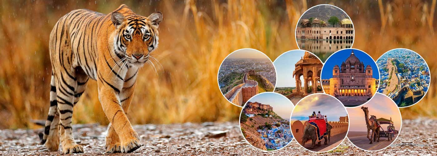 Places to Visit in Rajasthan