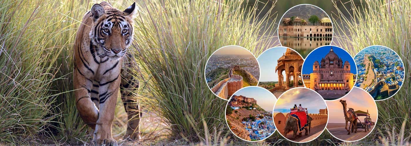 Places to Visit in Rajasthan