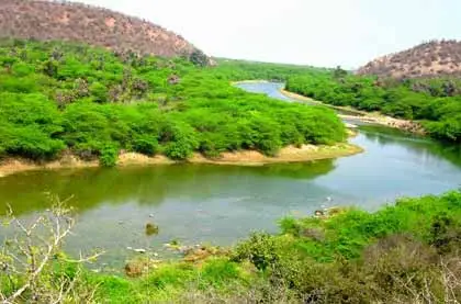 Ramgarh Vishdhari Sanctuary