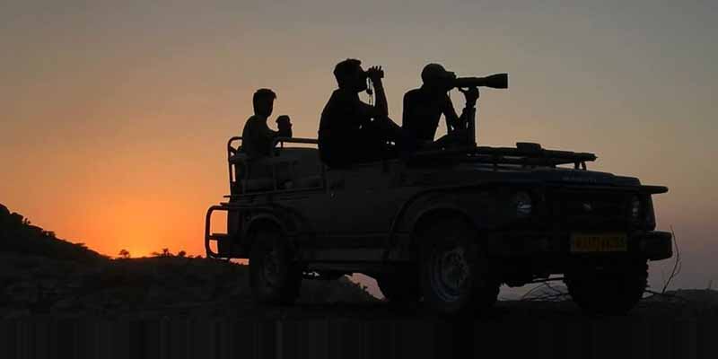 Ranakpur Jungle Safari