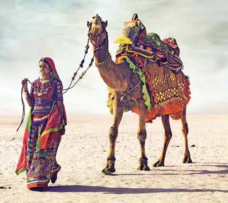 Rann Utsav Tourism Package (5 Days)