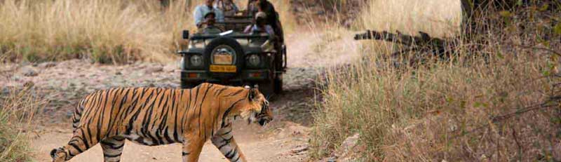 02-05 Days Rajasthan Tours