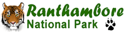 Ranthambore National Park