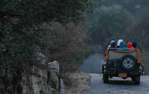 Ranthambore Safari Booking