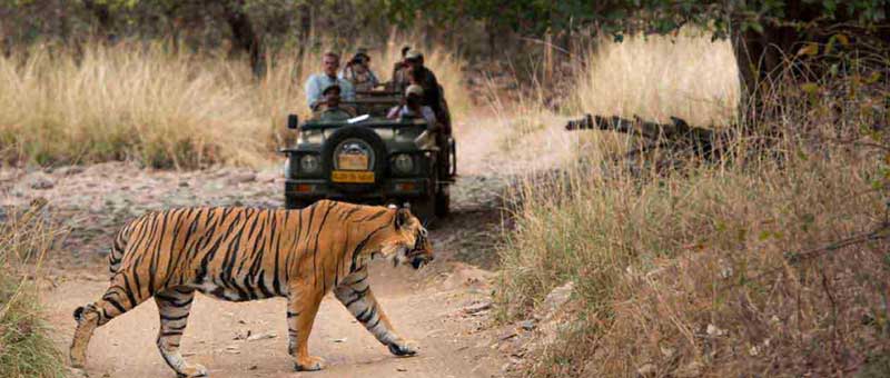 20-25 Days Rajasthan Tours