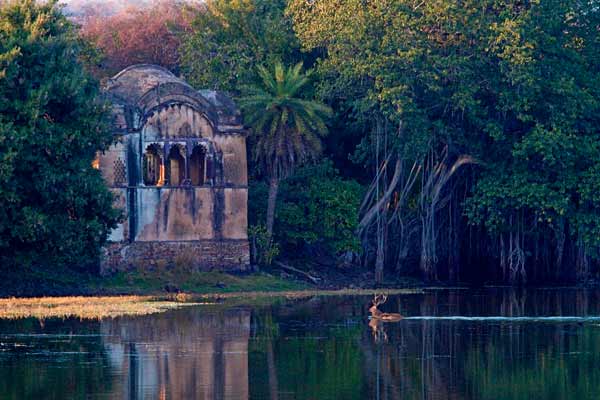 Ranthambore Special Tour Package
