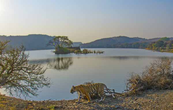 Ranthambore Weather